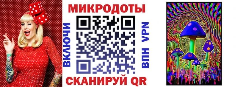 Купить  Хилок  Псилоцибиновые грибы Psilocybe 