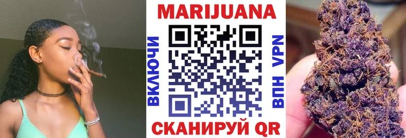 Купить закладки  Хилок  Марихуана сатива 